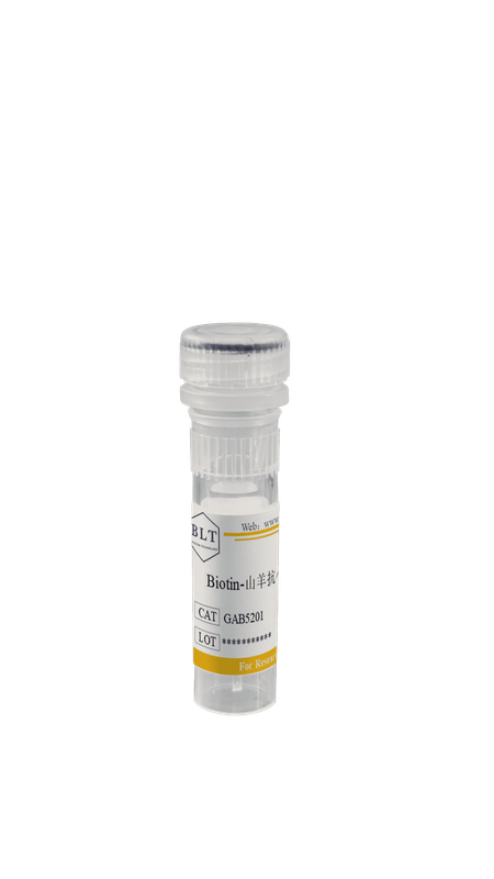 Biotin-山羊抗小鼠IgG (H+L)