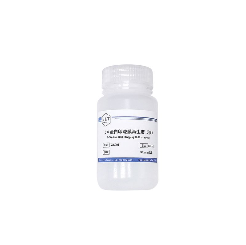 5×蛋白印迹膜再生液