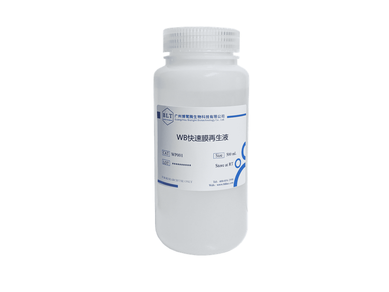WB快速膜再生液（增强型）