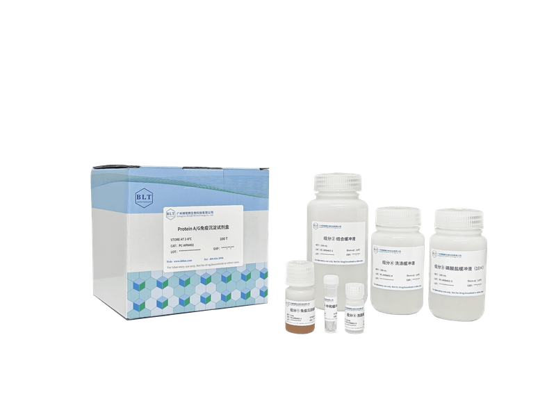 Protein A/G免疫沉淀试剂盒