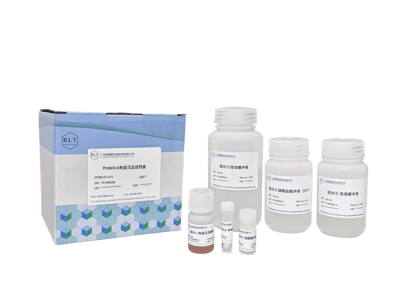 Protein A免疫沉淀试剂盒