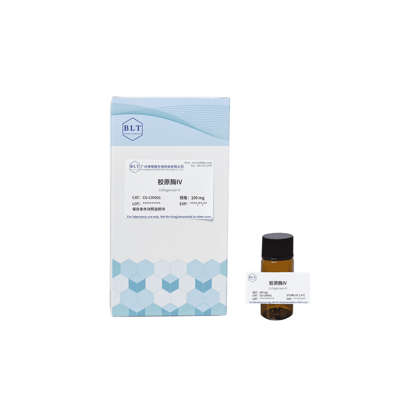 胶原酶IV（Collagenase IV）