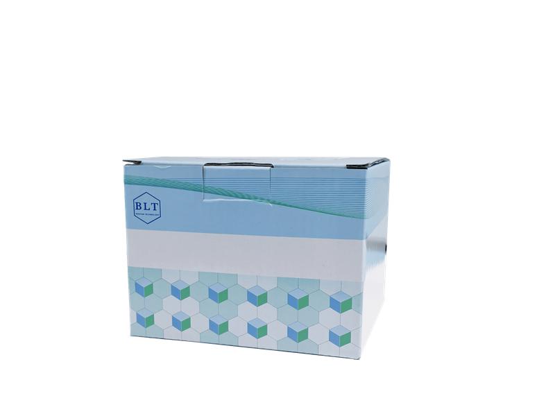 新型快速免染PAGE凝胶制备试剂盒