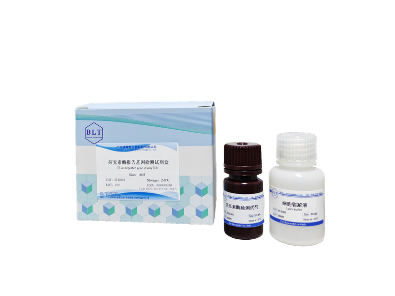 萤火虫荧光素酶检测试剂盒 Firefly Luciferase Reporter Gene Assay Kit