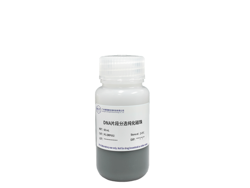DNA片段分选纯化磁珠