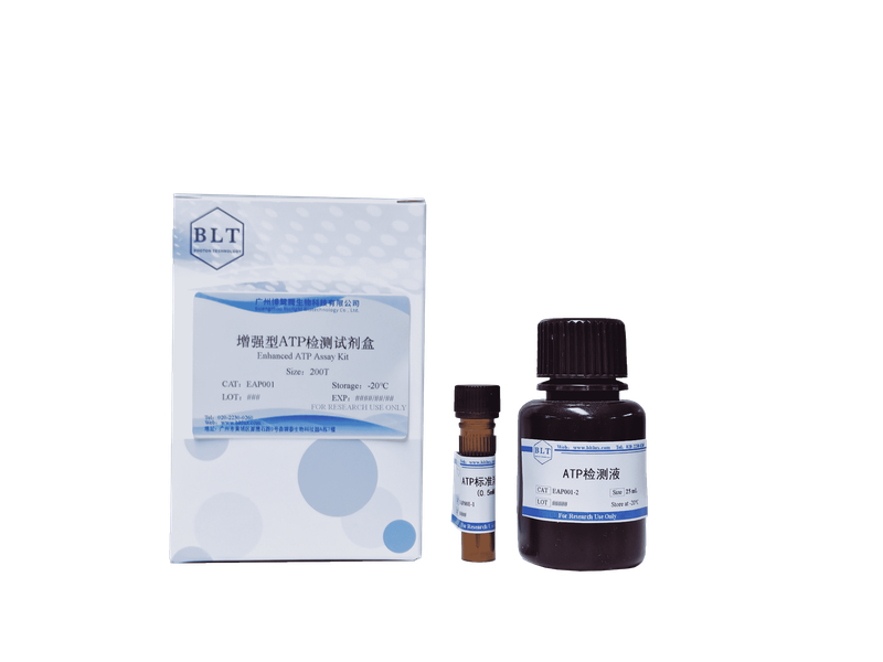 增强型ATP检测试剂盒