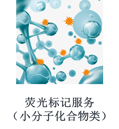 荧光标记服务（小分子化合物类）